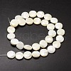 Natural Trochid Shell/Trochus Shell Beads Strands SSHEL-K016-03-2