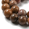 Natural Petrified Wood Round Bead Strands G-F266-08-12mm-5