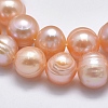 Natural Cultured Freshwater Pearl Beads Strands PEAR-F007-06A-01-3