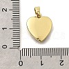 Brass Pendants KK-V007-011G-01-3