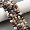 Natural Sodalite Beads Strands G-F591-13B-8