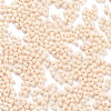 Baking Paint Glass Seed Beads SEED-A033-05A-3
