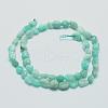 Natural Amazonite Beads Strands G-E483-50-2