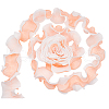 Chiffon Organza Pleated Lace Trim DIY-WH0892-01A-1