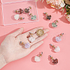 12Pcs 6 Styles Natural Mixed Gemstone Chip Heart Glass Bottle Pendants PALLOY-UN00001-5