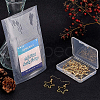 Long-Lasting Plated Brass Earring Hooks KK-BC0006-06G-NF-5