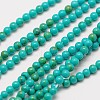 Imported Synthetic Turquoise Bead Strands G-A130-2mm-L05-1-2