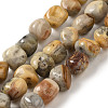 Natural Crazy Lace Agate Beads Strands G-B078-D23-01-2