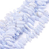 Natural Blue Lace Agate Beads Strands G-E569-O12-1