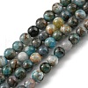 Round Natural Apatite Beads Strands G-K068-02-5mm-1