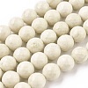 Natural Fossil Round Bead Strands G-O151-02-10mm-1