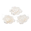 Natural White Shell Carved Cabochons SSHEL-I026-15-1