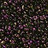 Spray Painted Glass Seed Beads SEED-F005-07A-05-3