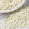 MIYUKI Round Rocailles Beads X-SEED-G008-RR2021-1