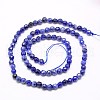 Natural Sodalite Beads Strands X-G-G545-16-2