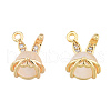 Brass Micro Pave Clear Cubic Zirconia Charms KK-N231-389-2