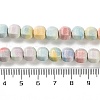 Natural Rainbow Alashan Agate Lantern Beads Strands G-NH0022-B01-01-5