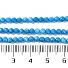 Natural Howlite Beads Strands G-C025-02B-10-5