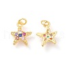 Brass Micro Pave Cubic Zirconia Charms ZIRC-F106-06G-2