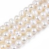 Natural Cultured Freshwater Pearl Beads Strands PEAR-N013-04A-2