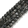 Natural Larvikite Beads Strands G-E571-A09-04-1