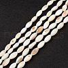 Natural Freshwater Shell Dyed Beads Strands SHEL-M018-13-13-1