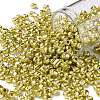 6/0 Glass Seed Beads X1-SEED-A017-4mm-1113-1