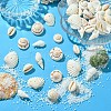 48Pcs 4 Styles Natural Shell Beads BSHE-YW0001-06-4