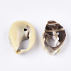 Spiral Shell Beads SSHEL-T008-25-2