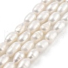 Natural Cultured Freshwater Pearl Beads Strands PEAR-P062-06F-2
