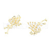 Brass Micro Pave Cubic Zirconia Pendants ZIRC-N039-272A-3