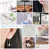 Unicraftale 304 Stainless Steel Earring Hooks STAS-UN0058-95P-6