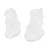 Natural Quartz Crystal Carved Dog Figurines DJEW-L023-A03-1