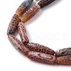 Natural Weathered Agate Beads Strands G-P570-C03-01-3