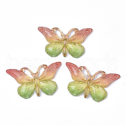 Transparent Acrylic Pendants TACR-R140-08H-1