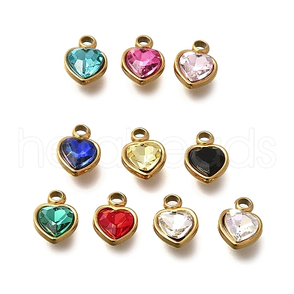 304 Stainless Steel with Rhinestone Pendants STAS-Q346-01G-1