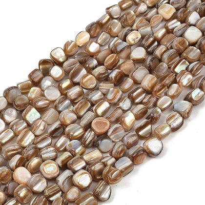 Natural Trochus Shell Beads Strands BSHE-Q050-01A-1