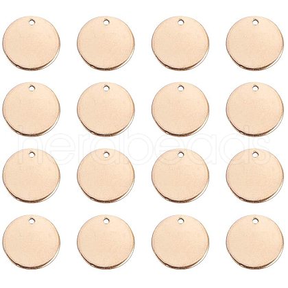 304 Stainless Steel Charms STAS-PH0018-45G-1