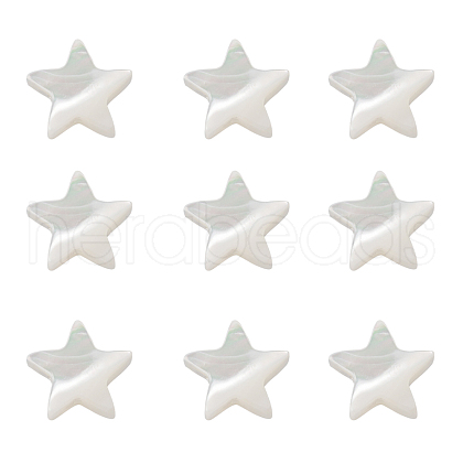 Natural Trochid Shell/Trochus Shell Beads SHEL-CJ0001-20-1