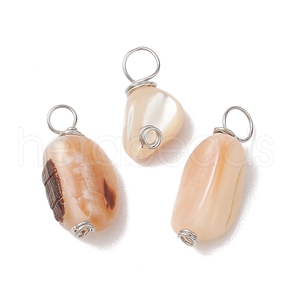 Natural Seashell Nuggets Charms PALLOY-JF02841-1