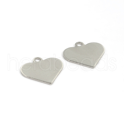 Tarnish Resistant 304 Stainless Steel Charms STAS-G130-08P-1