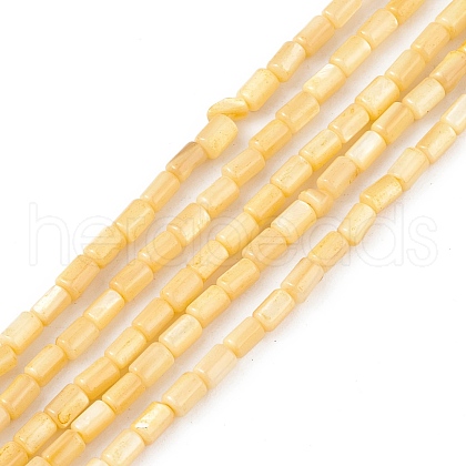 Natural Freshwater Shell Dyed Beads Strands SHEL-M018-12-01-1