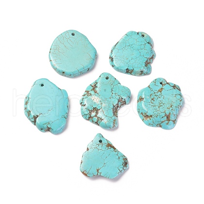 Natural Howlite Pendants TURQ-L031-020-1