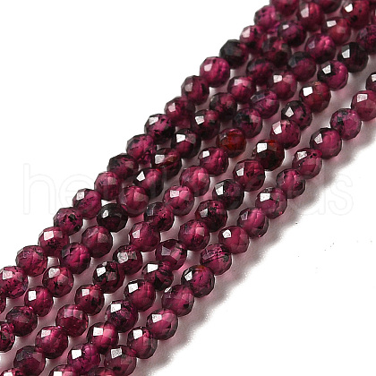 Natural Garnet Beads Strands X-G-I341-09A-1