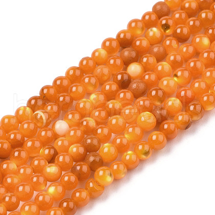 Natural Trochid Shell/Trochus Shell Beads Strands SSHEL-N034-132-1