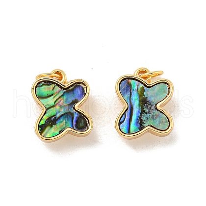 Brass Magnetic Clasps KK-A214-06G-1