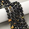 Faceted Natural Fire Crackle Agate Beads Strands G-F447-10mm-A09-5