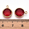 K9 Glass Charms X1-GLAA-T023-37A-04-3
