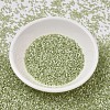 MIYUKI Delica Beads SEED-J020-DB1815-2