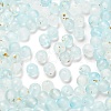 Frosted Transparent Acrylic Beads OACR-F013-12G-1